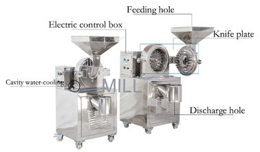 Mua ớt gia vị ớt bột tỏi làm máy xay online manufacture
